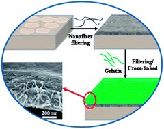 Graphical abstract: Superior separation performance of ultrathin gelatin films