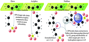 Graphical abstract: Molecular dynamics simulations of side chain pendants of perfluorosulfonic acid polymer electrolyte membranes