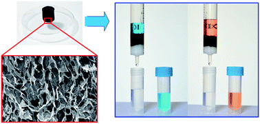 Graphical abstract: Graphene oxide–chitosan composite hydrogels as broad-spectrum adsorbents for water purification