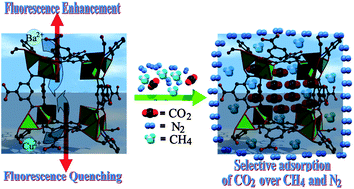 Graphical abstract: Microporous metal–organic frameworks with open metal sites as sorbents for selective gas adsorption and fluorescence sensors for metal ions