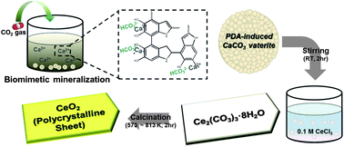 Graphical abstract: Synthesis of visible light-active CeO2 sheets via mussel-inspired CaCO3 mineralization
