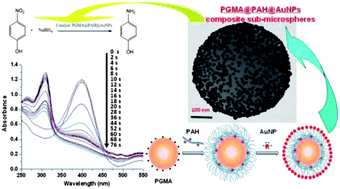 Graphical abstract: A new type of raspberry-like polymer composite sub-microspheres with tunable gold nanoparticles coverage and their enhanced catalytic properties