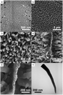 Graphical abstract: Vertically oriented polypyrrole nanowire arrays on Pd-plated Nafion® membrane and its application in direct methanol fuel cells