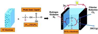 Graphical abstract: Nonhumidified high temperature H2/Cl2 fuel cells using protic ionic liquids
