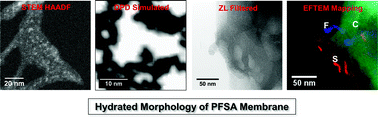 Graphical abstract: Evaluation of the microstructure of dry and hydrated perfluorosulfonic acid ionomers: microscopy and simulations