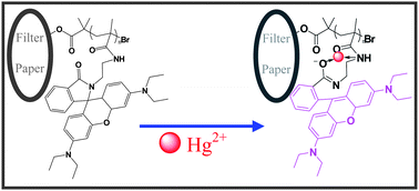 Graphical abstract: Rhodamine derivative-modified filter papers for colorimetric and fluorescent detection of Hg2+ in aqueous media