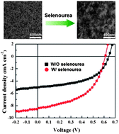Graphical abstract: Improvement of power conversion efficiency of P3HT:CdSe hybrid solar cells by enhanced interconnection of CdSe nanorods via decomposable selenourea