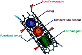 Graphical abstract: Carbon nanostructures as multi-functional drug delivery platforms