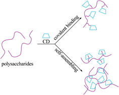 Graphical abstract: Preparation and application of cyclodextrin immobilized polysaccharides