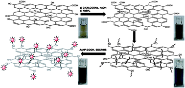 Graphical abstract: Preparation and application of thionin-bridged graphene–gold nanoparticle nanohybrids