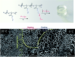 Graphical abstract: Preparation of in situ-forming poly(5-methyl-5-allyloxycarbonyl-1,3-dioxan-2-one)-poly(ethylene glycol) hydrogels with tuneable swelling, mechanical strength and degradability