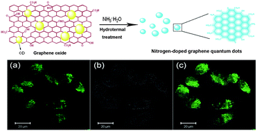 Graphical abstract: One-step preparation of nitrogen-doped graphene quantum dots from oxidized debris of graphene oxide