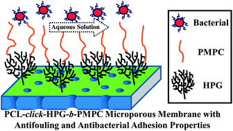 Graphical abstract: Surface-functionalizable membranes of polycaprolactone-click-hyperbranched polyglycerol copolymers from combined atom transfer radical polymerization, ring-opening polymerization and click chemistry
