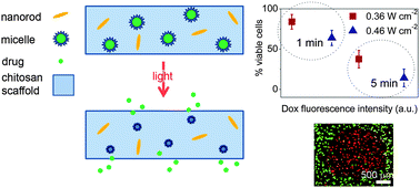 Graphical abstract: Light-responsive nanocomposite sponges for on demand chemical release with high spatial and dosage control