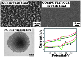 Graphical abstract: Hemocompatible and antibiofouling PU-F127 nanospheres platform for application to glucose detection in whole blood