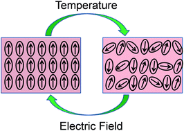 Graphical abstract: Pyroelectric and electrocaloric materials