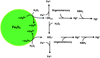 Graphical abstract: Advanced oxidation using Fe3O4 magnetic nanoparticles and its application in mercury speciation analysis by high performance liquid chromatography-cold vapor generation atomic fluorescence spectrometry