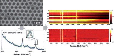 Graphical abstract: Wavelength modulated surface enhanced (resonance) Raman scattering for background-free detection