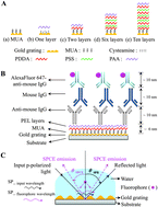 Graphical abstract: Highly sensitive grating coupler-based surface plasmon-coupled emission (SPCE) biosensor for immunoassay