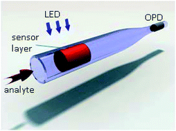 Graphical abstract: A luminescence lifetime-based capillary oxygen sensor utilizing monolithically integrated organic photodiodes