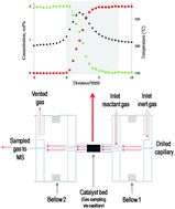 Graphical abstract: An in situ spatially resolved analytical technique to simultaneously probe gas phase reactions and temperature within the packed bed of a plug flow reactor