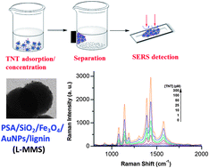 Graphical abstract: Fe3O4/Au nanoparticles/lignin modified microspheres as effectual surface enhanced Raman scattering (SERS) substrates for highly selective and sensitive detection of 2,4,6-trinitrotoluene (TNT)
