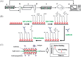 Graphical abstract: Quantification of tumor necrosis factor-α and matrix metalloproteinases-3 in synovial fluid by a fiber-optic particle plasmon resonance sensor