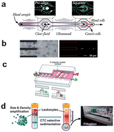 Graphical abstract: Recent advances in microfluidic cell separations