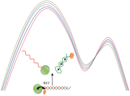 Graphical abstract: A novel aptasensor for the ultra-sensitive detection of adenosine triphosphate via aptamer/quantum dot based resonance energy transfer
