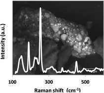 Graphical abstract: Correlated Raman micro-spectroscopy and scanning electron microscopy analyses of flame retardants in environmental samples: a micro-analytical tool for probing chemical composition, origin and spatial distribution