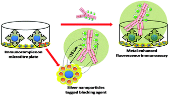 Graphical abstract: Plasmon enhanced fluoro-immunoassay using egg yolk antibodies for ultra-sensitive detection of herbicide diuron
