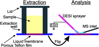 Graphical abstract: High-throughput analysis of drugs in biological fluids by desorption electrospray ionizationmass spectrometry coupled with thin liquid membrane extraction