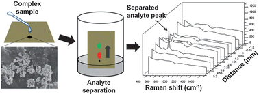 Graphical abstract: Chromatographic separation and detection of target analytes from complex samples using inkjet printed SERS substrates