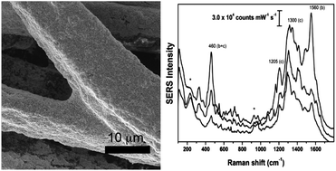 Graphical abstract: Silver colloidal pastes for dye analysis of reference and historical textile fibers using direct, extractionless, non-hydrolysis surface-enhanced Raman spectroscopy
