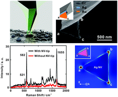 Graphical abstract: Multilayered nano-prism vertex tips for tip-enhanced Raman spectroscopy and imaging