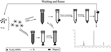Graphical abstract: Dispersive micro-solid phase extraction based on self-assembling, ionic liquid-coated magnetic particles for the determination of clofentezine and chlorfenapyr in environmental water samples