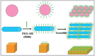 Graphical abstract: Assembly of polymer–gold nanostructures with high reproducibility into a monolayer film SERS substrate with 5 nm gaps for pesticide trace detection