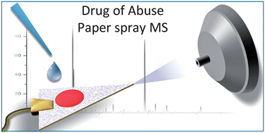 Graphical abstract: Quantitative paper spray mass spectrometry analysis of drugs of abuse