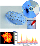 Graphical abstract: Controlled biohybrid nanoprobes with silver nanoparticle clusters for Raman imaging