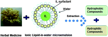 Graphical abstract: Environmentally friendly ionic liquid-in-water microemulsions for extraction of hydrophilic and lipophilic components from Flos Chrysanthemi