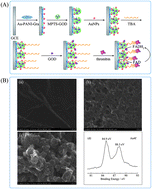Graphical abstract: An electrochemical aptasensor for thrombin detection based on direct electrochemistry of glucose oxidase using a functionalized graphene hybrid for amplification