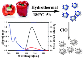 Graphical abstract: Green synthesis of carbon dots with down- and up-conversion fluorescent properties for sensitive detection of hypochlorite with a dual-readout assay