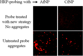 Graphical abstract: A chemical quenching- and physical blocking-based method to minimize process-mediated aggregation of antibody-crosslinked nanoparticles for imaging application