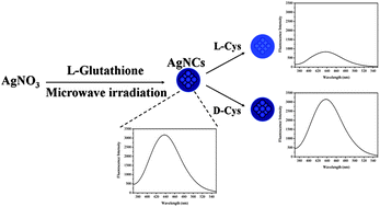 Graphical abstract: Microwave-assisted green synthesis of ultrasmall fluorescent water-soluble silver nanoclusters and its application in chiral recognition of amino acids