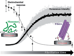 Graphical abstract: Electrochemical analysis of the fibrillation of Parkinson's disease α-synuclein
