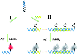 Graphical abstract: Target-induced quenching for highly sensitive detection of nucleic acids based on label-free luminescent supersandwich DNA/silver nanoclusters