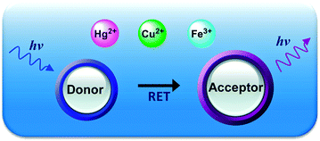 Graphical abstract: Resonance energy transfer-based fluorescent probes for Hg2+, Cu2+ and Fe2+/Fe3+ ions