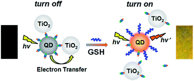 Graphical abstract: Visual detection of biological thiols based on lightening quantum dot–TiO2 composites