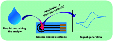 Graphical abstract: A review on amperometric-type immunosensors based on screen-printed electrodes