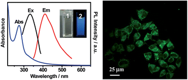 Graphical abstract: Facile synthesis of water-soluble and biocompatible fluorescent nitrogen-doped carbon dots for cell imaging